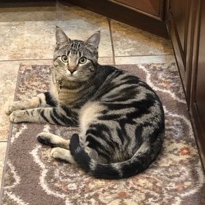 Meet your Posher, Janell